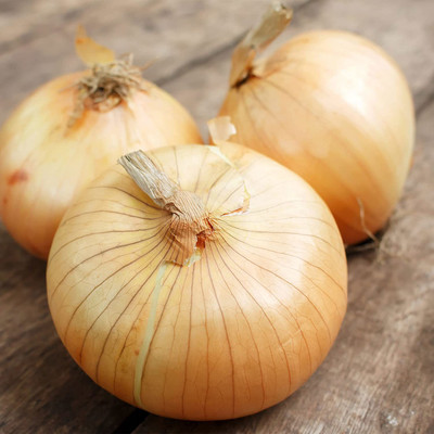 VibeX ® XLR-618 Onion Seeds - Imai Early Yellow Seed(1000 per packet)