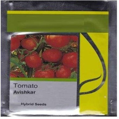 CYBEXIS Avishkar Hybrid Tomato 2000 Seeds Seed(2000 per packet)