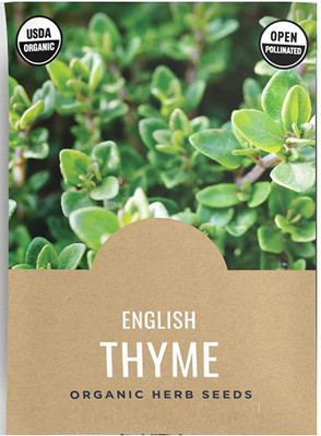 VibeX NBIR-93 - Thyme(Thymus Vulgaris)Herb - (1350 Seeds) Seed(1350 per packet)