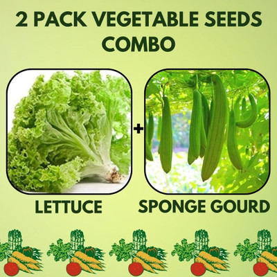 Infiniteseeds 2 Pack Combo Of Lettuce And Sponge Gourd Vegetable Seeds Seed(50 per packet)
