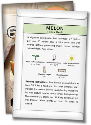 Biosnyg IAIR-83 Honey Rock Melon Seed-[200 Seeds] Seed(200 per packet)