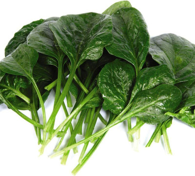 DROXTY SPINACH Seed(50 per packet)