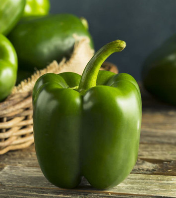 VibeX PAU-11 - Hybrid Green Capsicum - (150 Seeds) Seed(150 per packet)