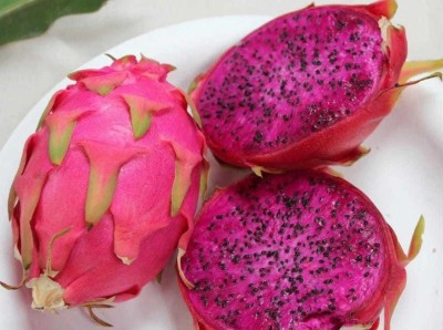 Oliver DRAGON FRUIT SEED Seed(105 per packet)