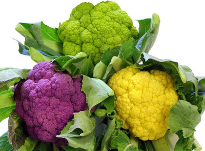WILLVINE SCI -XII Non-GMO Cauliflower Mix [10g, 3000 Seeds] Seed(3000 per packet)