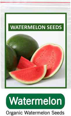 ActrovaX Fruit - Watermelon [6400 Seeds] Seed(10 per packet)