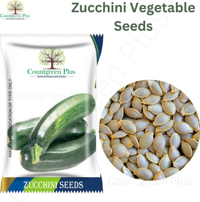 Countgreen Plus Zucchini - Summer Squash Vegetable Seeds Seed(20 per packet)