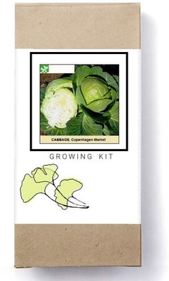 Biosnyg Copenhagen Cabbage[500 Seeds] Seed(500 per packet)