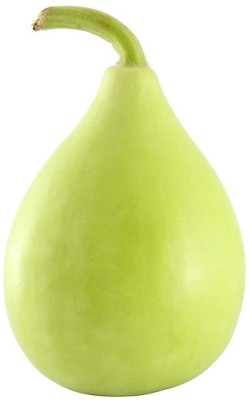 Qualtivate RES-1A Round bottle gourd Hybrid Seeds Seed(50 per packet)