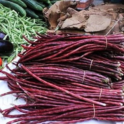 Arshiayat Cowpea (Lobia) Vegetable Seed(150 per packet)