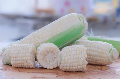 WILLVINE HAR -XII Silver Queen Corn-[100g] Seed(400 per packet)