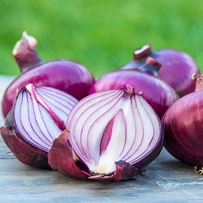 Biosnyg Non GMO Red Cabernet Onion Seeds For Kitchen Gardening-(3000 Seeds) Seed(3000 per packet)