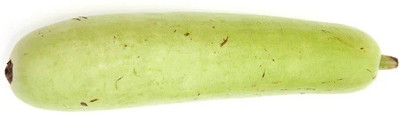 CYBEXIS BOTTLE GOURD LONG SEEDS400 Seeds Seed(400 per packet)