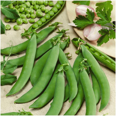 VibeX ® RXI-131 Organic Sugar Daddy Pea Seeds Seed(50 per packet)