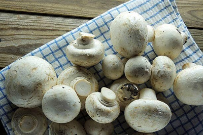 GREENSEA Mushroom Seed(102 per packet)