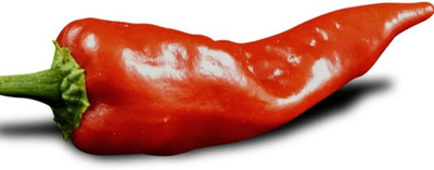Biosnyg Hybrid Mirasol Mexican Pepper Vegetable Seeds For Planting-(4000 Seeds) Seed(4000 per packet)