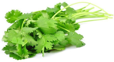 Quentova Coriander Dhaniya Seed(2000 per packet)