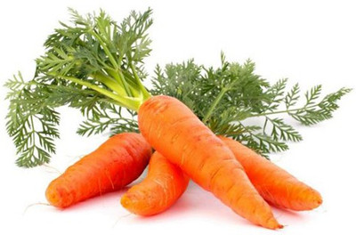 CYBEXIS Hipak Imported Carrot Variety2000 Seeds Seed(2000 per packet)
