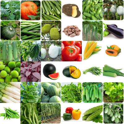 BHUSAN 40 Variety Vegetable Seeds Combo Pack Seed(2600 per packet)