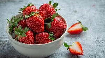 XOLDAA F1 HYBRID best quality strawberry fruit seeds Seed(41 per packet)