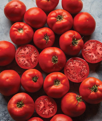 Qualtivate RES-1A Big Boy Large Slicing Red Tomato Seed(300 per packet)