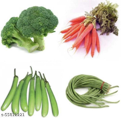 FRESHO All Mixed Vegetable Seeds Seed(475 per packet)
