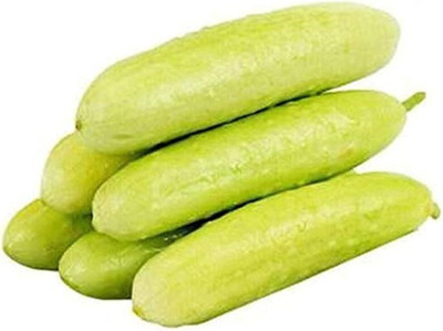 KNESSiN Cucumber Seed(200 per packet)