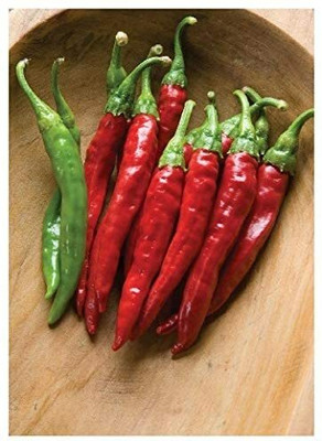 CYBEXIS Chili Seed(2400 per packet)
