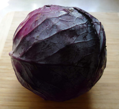 KNESSiN Red Acre Cabbage-{800 Seeds} Seed(800 per packet)