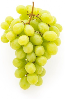 XOLDA Organic Grapes fruit Seed(20 per packet)