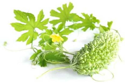 XOLDAA F1 BEST QUALITY BITTER GOURD SEEDS Seed(14 per packet)