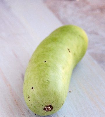 UGRA Long Bottle Gourd Seeds Seed(150 per packet)