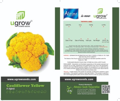 JD AGRO GOLDEN FLORETS YELLOW CAULIFLOWER DELIGHT Seed(30 per packet)