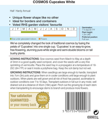 CYBEXIS F1 Hybrid Cosmos Cupcakes - White Seed(50 per packet)