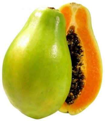 Quentova Florida Red Royale Papaya Seeds-KMT-8W Seed(50 per packet)