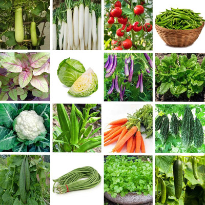 CRGO VEGETABLE COMBO Seed(3200 per packet)