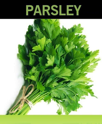 CYBEXIS NBIR-59 - Italian Flat Parsley - (2250 Seeds) Seed(2250 per packet)