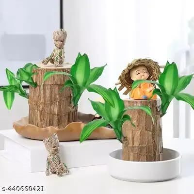 Cloud Farm Mini Brazalian wood Seed(1 per packet)