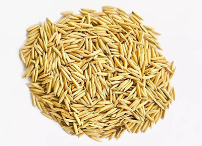 STOKIYA PUSA BASMATI - 1692 VARIETY PADDY / RICE 5 KG SEEDS Seed (5 per packet) Seed(5 per packet)