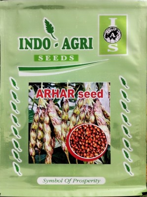 HYBRID 250g, arhar/toor/ Red gram seed highest yield variety early fruiting Seed(250 g)