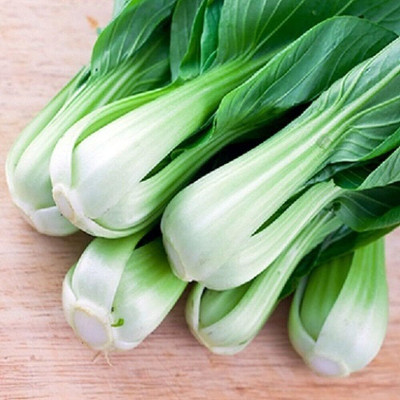 WILLVINE HUA -VII Pak Choi or Chinese White Cabbage [2.5g] Seed(750 per packet)