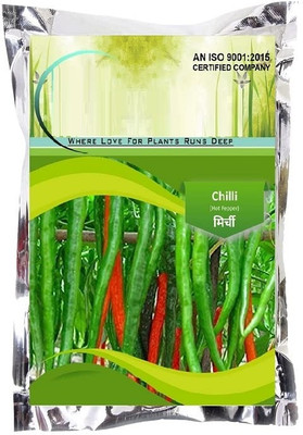 WILLVINE MEH -IX Summer @ Chilli F-1 Hybrid High Germination[50gm, 10000 Seeds] Seed(10000 per packet)