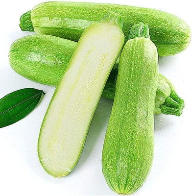 KNESSiN VXI-22 Zucchini Seed(30 per packet)