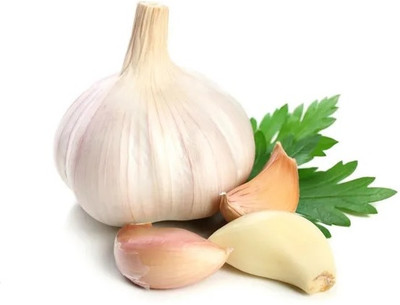 Avysa Garlic Cloves Seed(25 per packet)