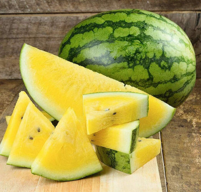 WILLVINE Organic Watermelon 'Golden Honey' - Open Pollination Non-GMO-[600 Seeds] Seed(600 per packet)