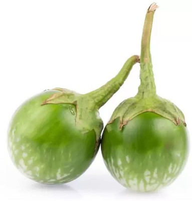 Aro Brinjal Green round, Brinjal, Eggplant Seed(180 per packet)