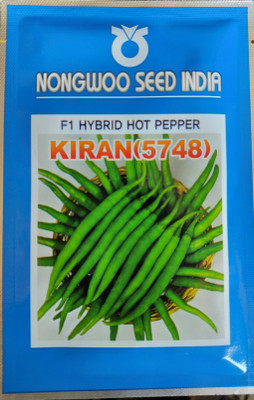 Cloud Farm 10g, highest yield chilli seeds ( yield 15-17 Ton/acre) virus free seeds Seed(10 g)