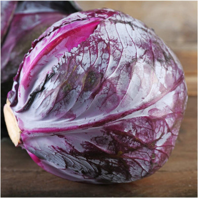 WILLVINE Hybrid Red Acre Cabbage (Brassica oleracea)-200 Seeds Seed(200 per packet)