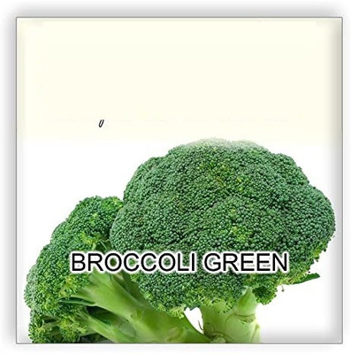CYBEXIS Solan Green F1 Hybrid Broccoli500 Seeds Seed(500 per packet)