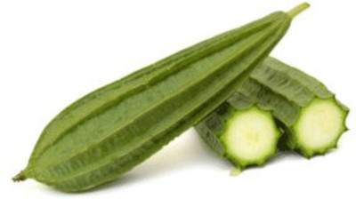 KASH Hybrid f1 Ridge Gourd seed, jhinge seed Seed(5 per packet)